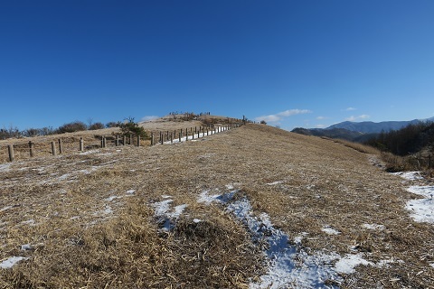 a0158702_16381583.jpg