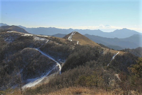 a0158702_16391497.jpg