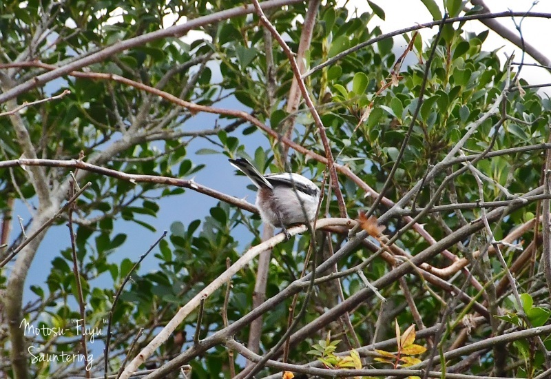 b0223512_23031452.jpg