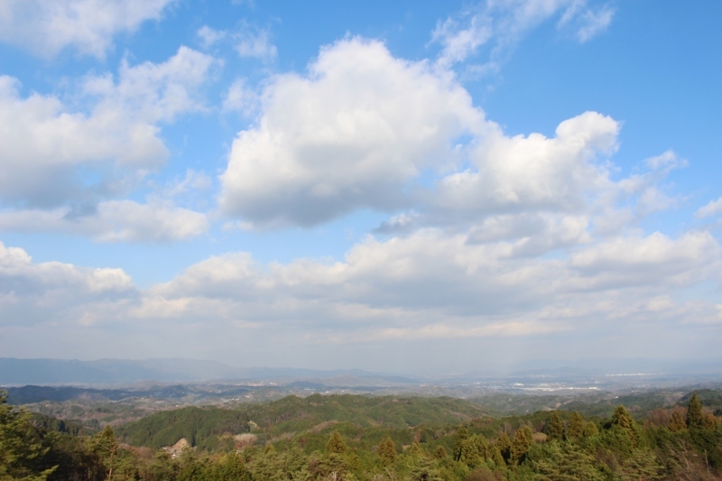 月ヶ瀬_b0220318_12235200.jpg