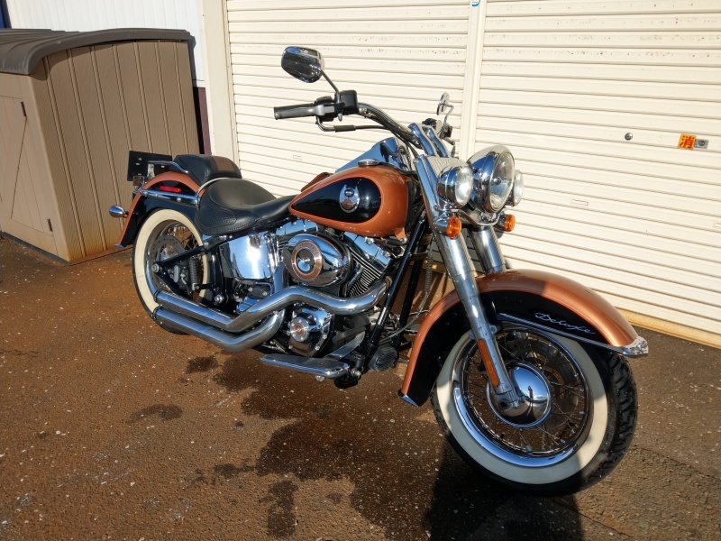 FOR SALE_c0374027_11554518.jpg