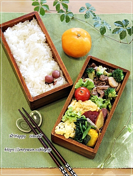 牛肉ブロエリンギのソテー弁当とサバ缶で♪_f0348032_17363768.jpg