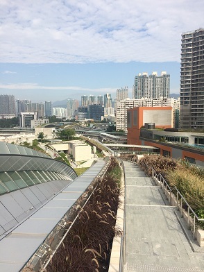 f0371533_19041170.jpg