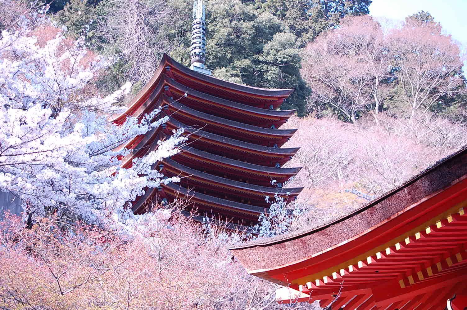 談山神社の春夏秋冬 すべての魅力を氏子総代が解き明かす 奈良 桜井の歴史と社会