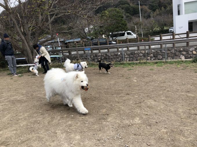 ２０１８年冬　横須賀ミニオフ旅行　その１_f0128542_11572286.jpg