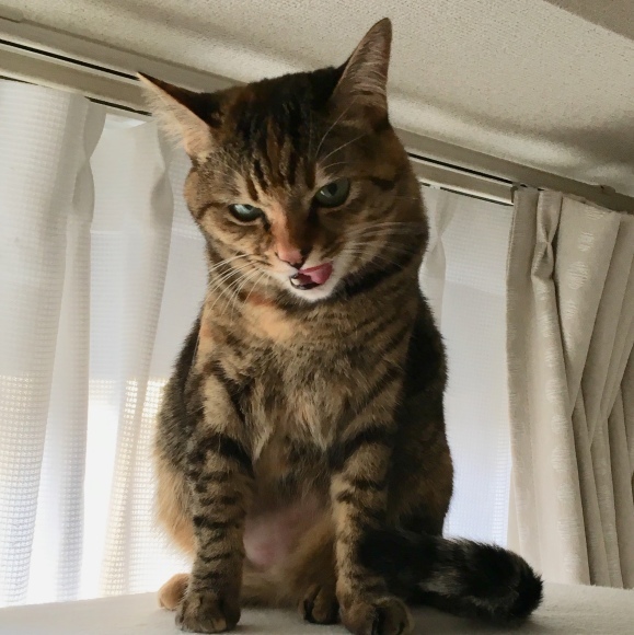 f0372445_07335444.jpeg