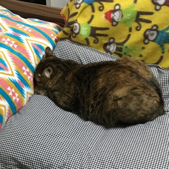 f0372445_09564348.jpeg