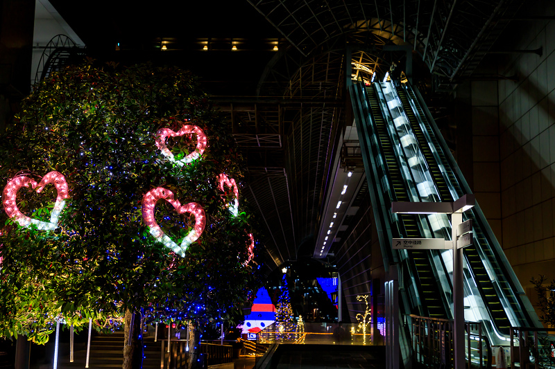 Merry Christmas!（京都駅ビル）_f0155048_2328484.jpg