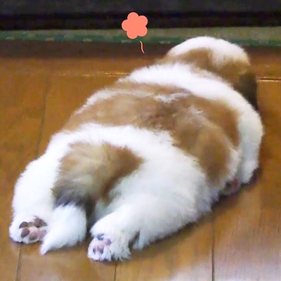 c0109850_13594543.jpg
