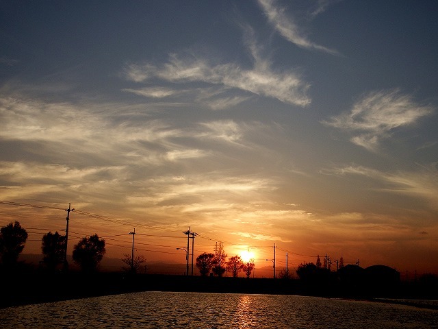 a0335853_18370195.jpg