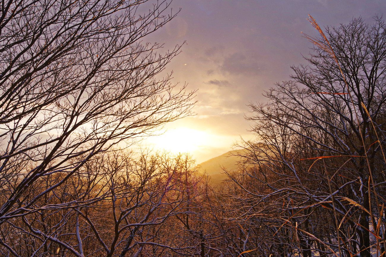 ☆2018.12.18 三角山～大倉山_e0105954_943131.jpg