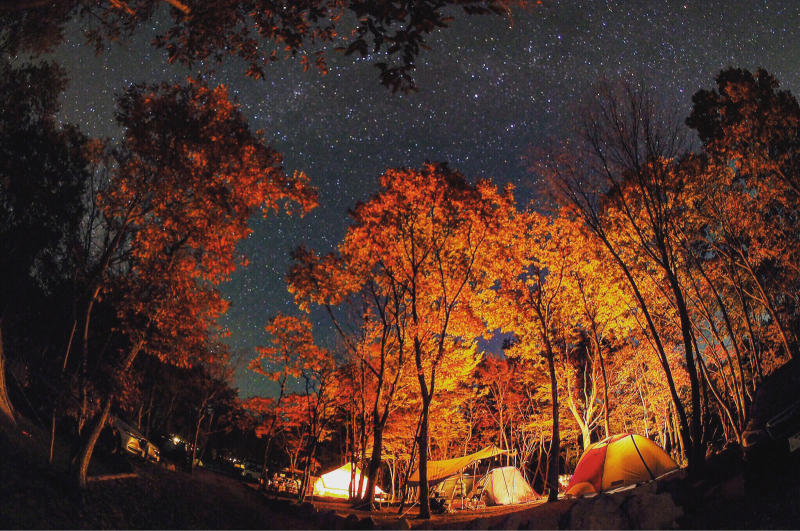 【キャンプ】夜の魅力を知らずして、キャンプをしたと言えるか？_b0008655_06532610.jpg