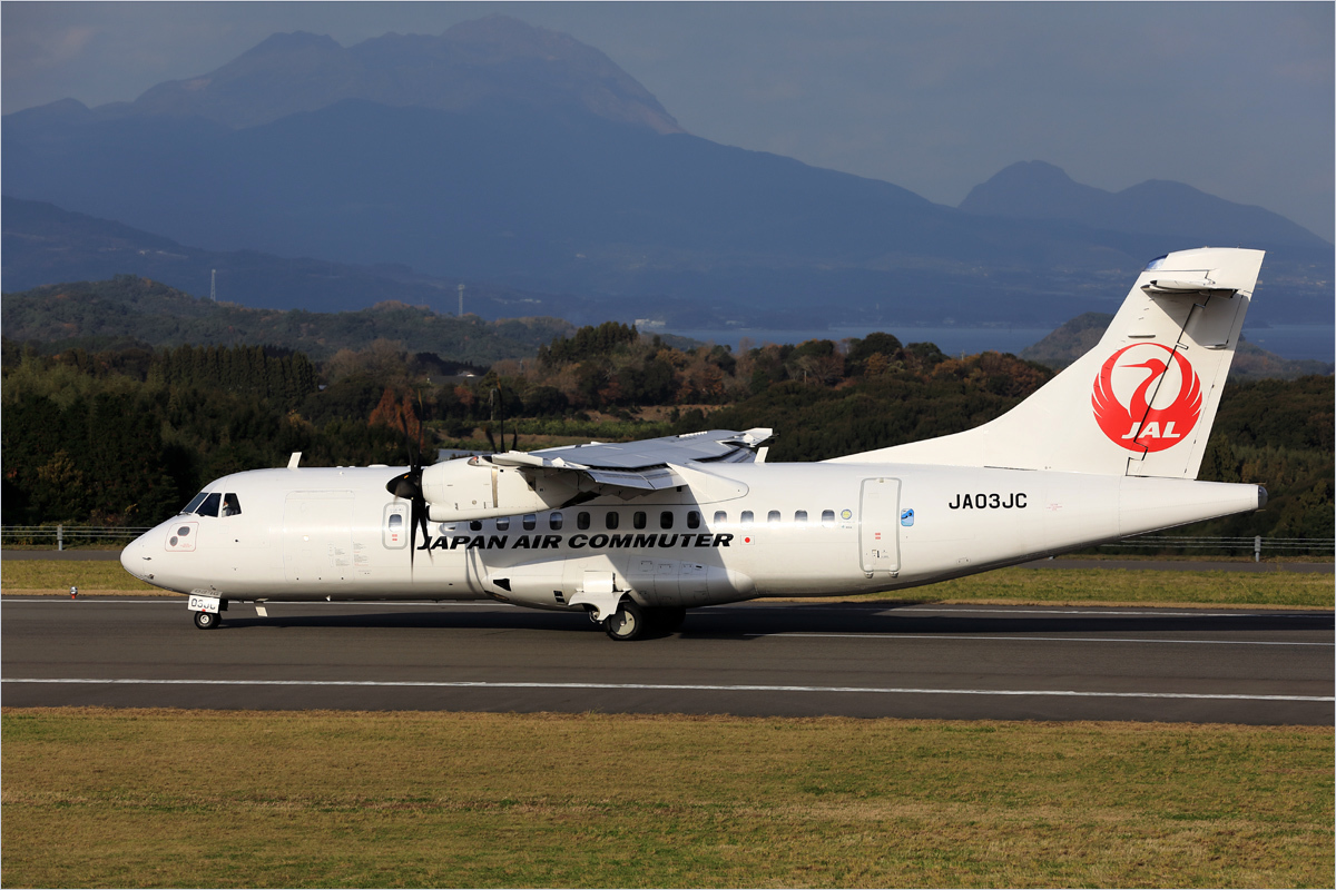 鶴来たる 2018冬 - 天草空港_c0308259_20401169.jpg