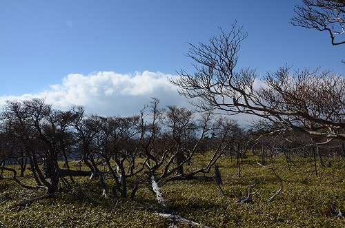 大台ヶ原　大蛇ぐら _d0247262_1818398.jpg