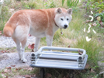 ご飯まだですか〜。_b0057675_23240280.jpg