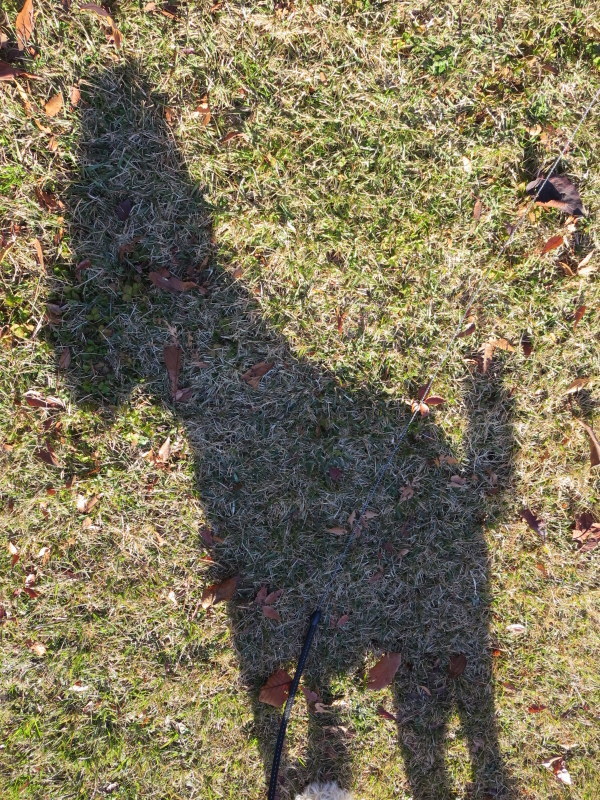 d0264176_20184843.jpg