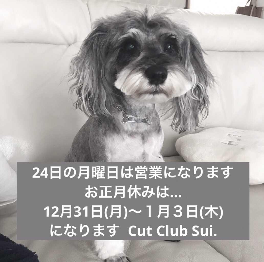 Asasui 美容室 Cut Club Sui Asasui 美容室 Cut Club Sui