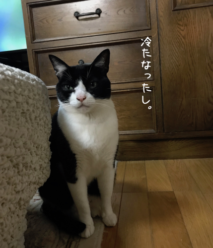 a0216583_23015881.png