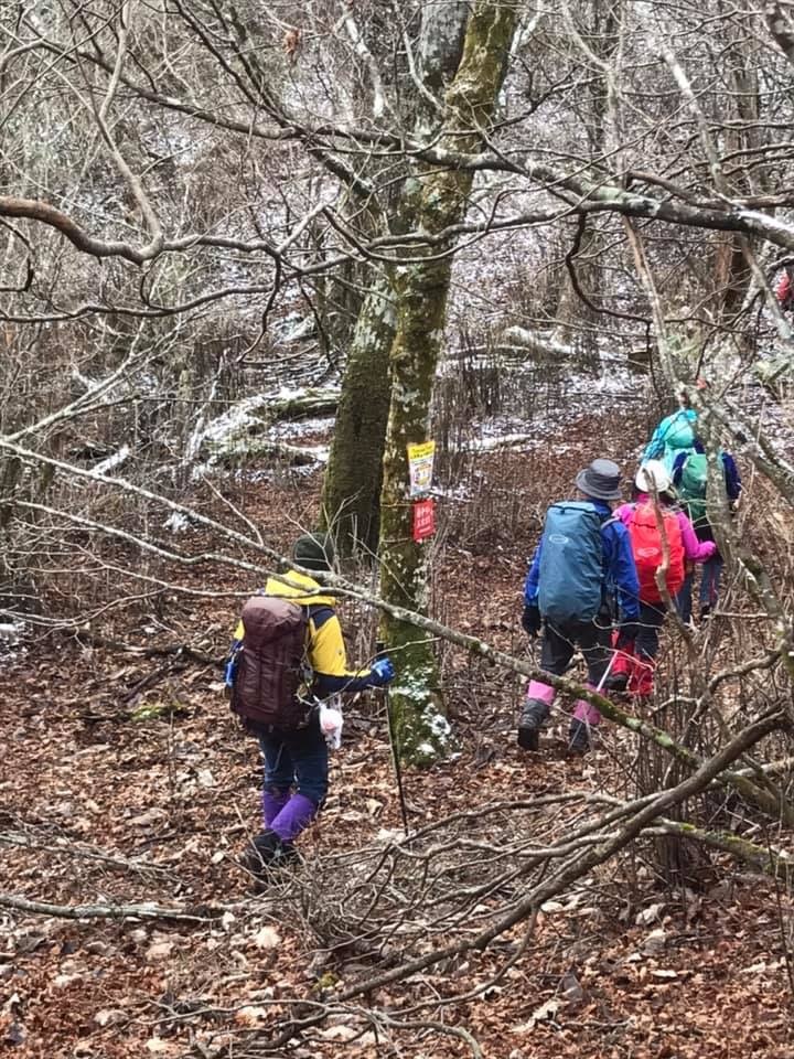 f0357487_22501401.jpeg