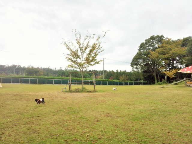 a0105396_22142901.jpg