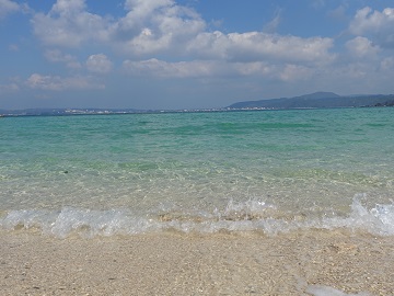 c0172698_72897.jpg