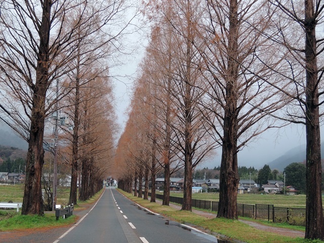 f0373905_11110739.jpg