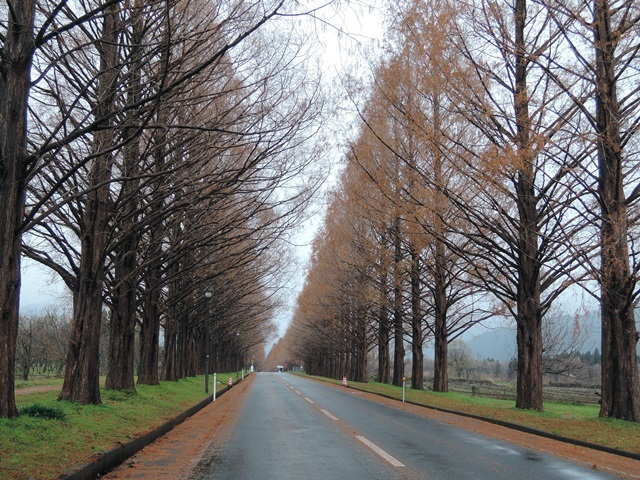 f0373905_11111338.jpg