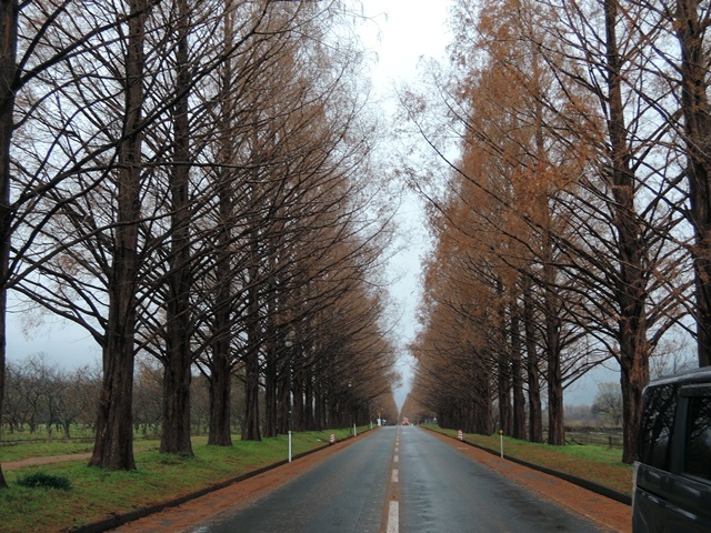 f0373905_11111799.jpg