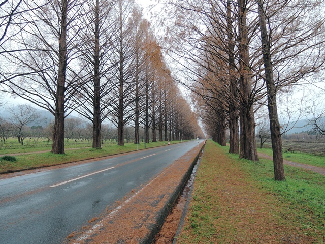 f0373905_11112046.jpg