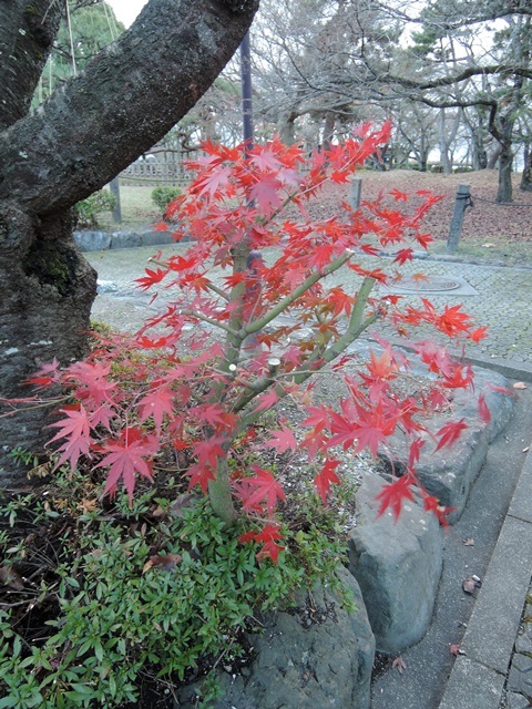 f0373905_11125459.jpg