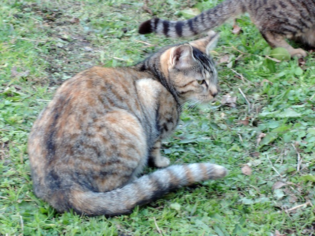 f0373905_11131950.jpg