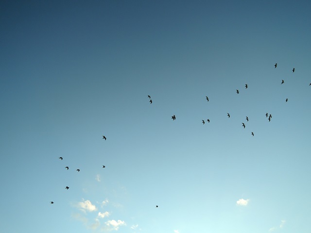f0373905_11134237.jpg