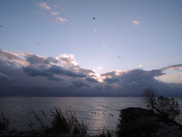 f0373905_11134583.jpg
