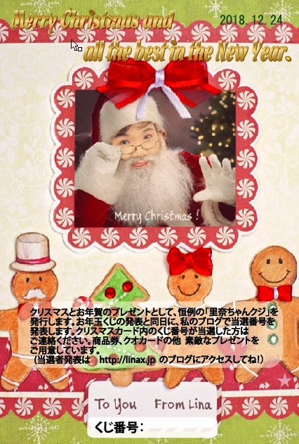 今年も色々とお世話になりました。〔クリスマス・年末年始のご挨拶〕_e0124015_03111650.jpg