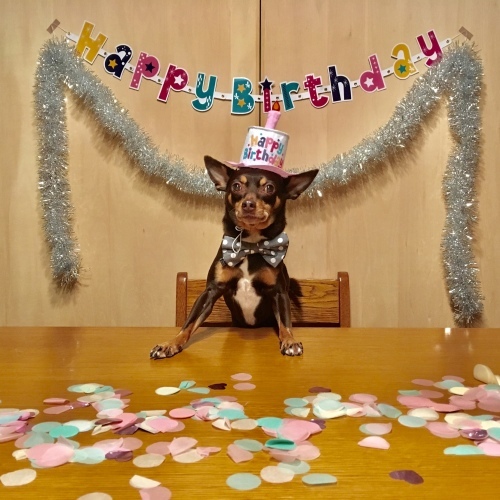 a0291132_17332817.jpeg