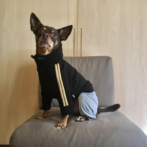 a0291132_18094194.jpeg