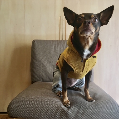 a0291132_18100110.jpeg