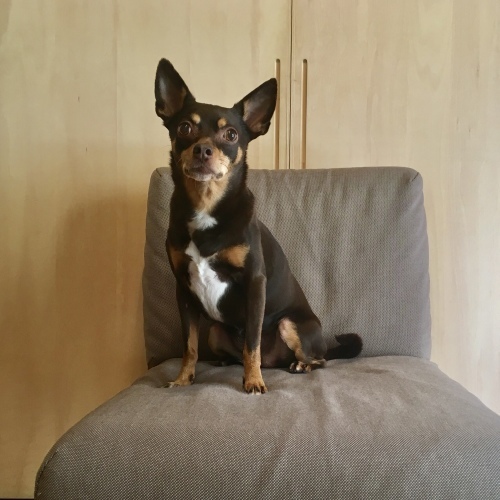 a0291132_18113069.jpeg