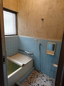 d0178136_17422392.jpeg