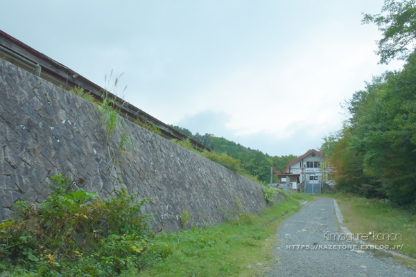 10月の山活・県民の森トレッキング②**山肌を赤く染めるモノ_b0197639_18045761.jpg