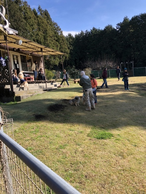 b0369239_11545759.jpeg