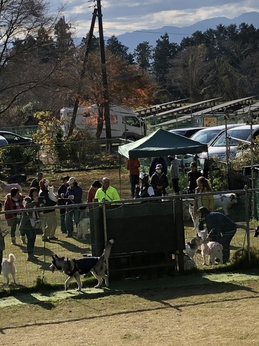 b0369239_11560241.jpeg