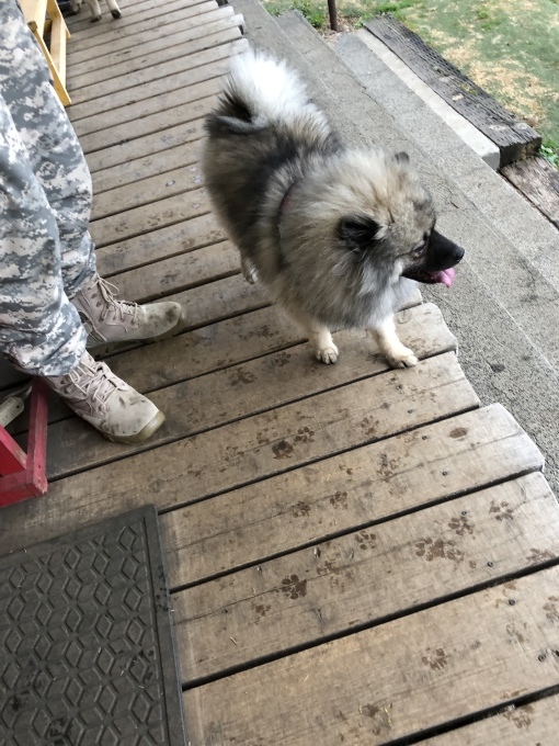 b0369239_11584417.jpeg