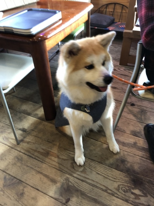 b0369239_11585488.jpeg