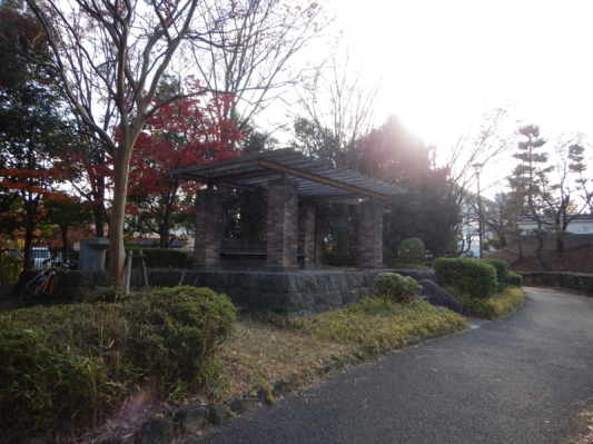 解説…Ⅺ（減煙日記 その15）_b0136045_22083456.jpg