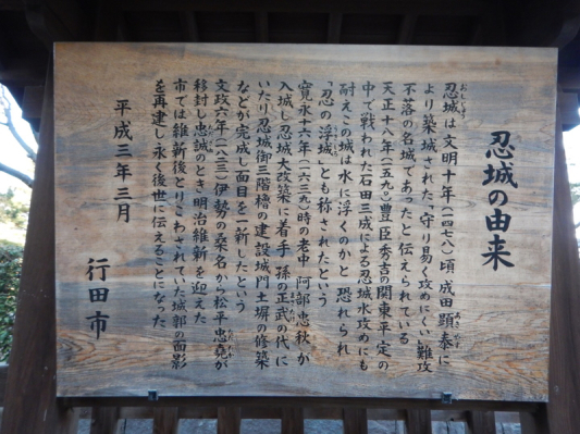 解説…Ⅺ（減煙日記 その15）_b0136045_22470596.jpg