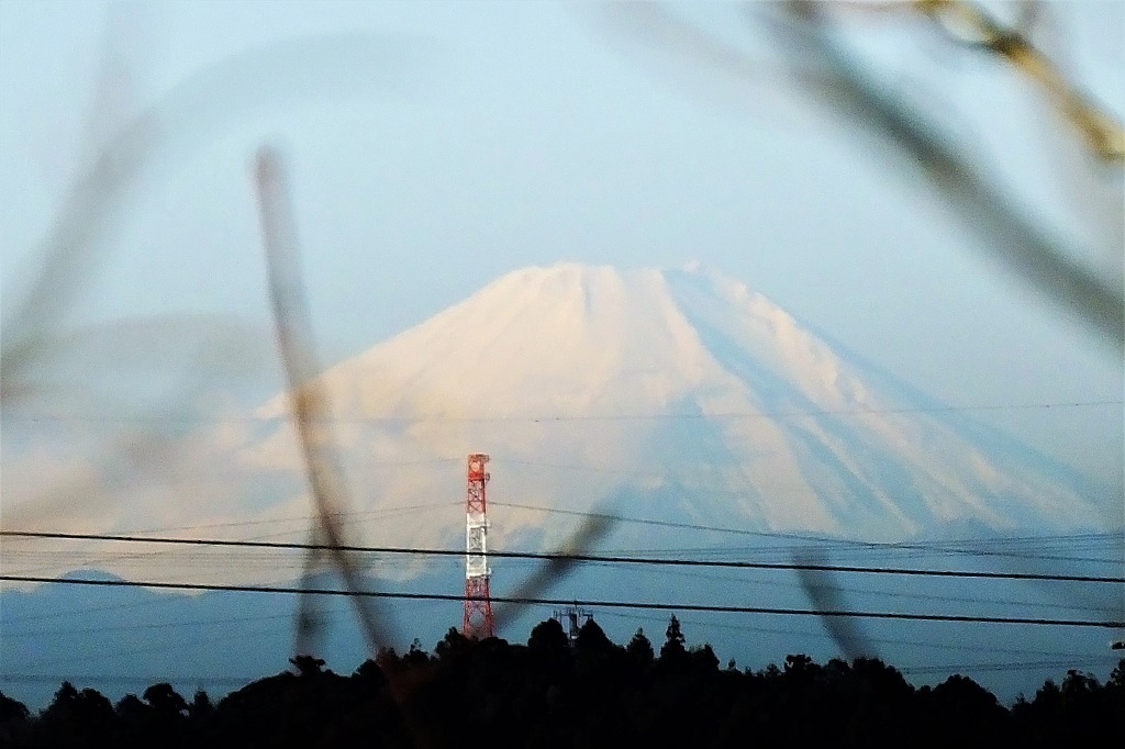 b0236251_11285829.jpg