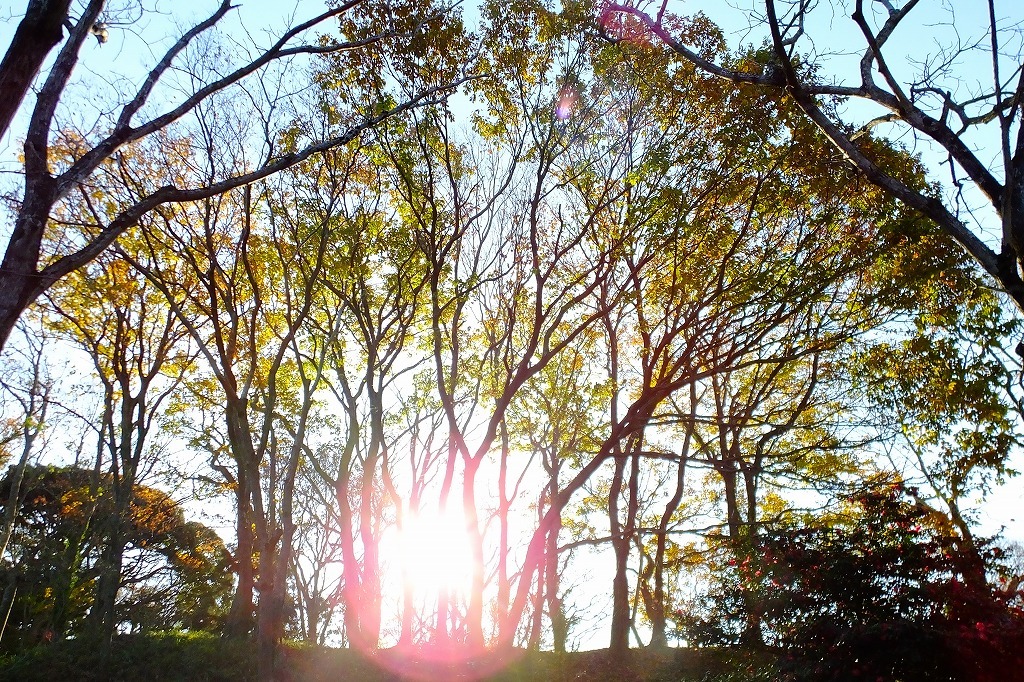 b0236251_11330201.jpg