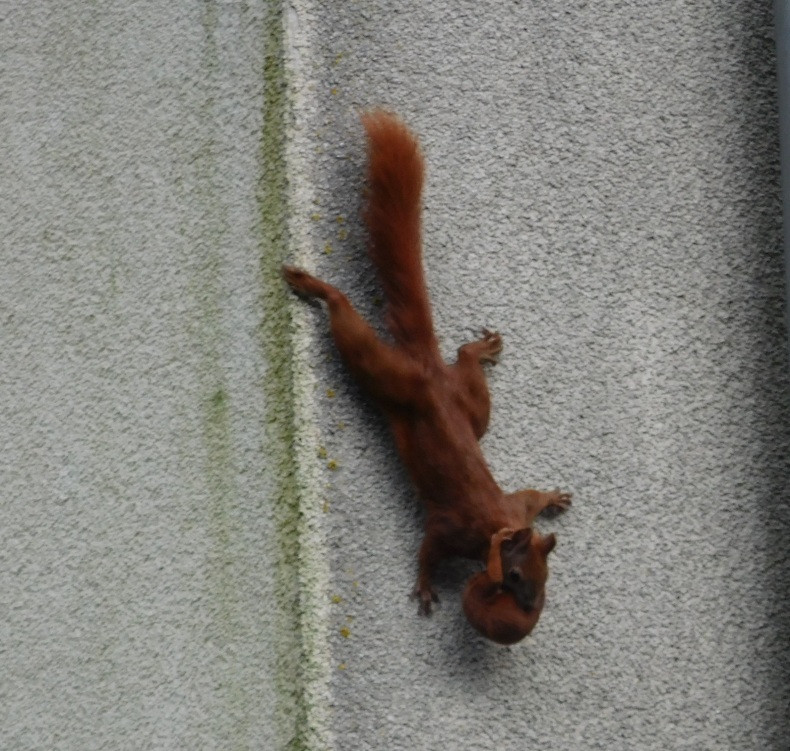 e0141754_23111850.jpg