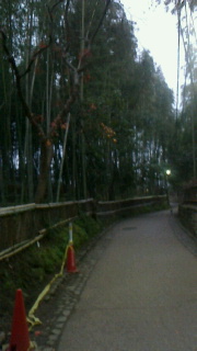 f0030155_6545263.jpg